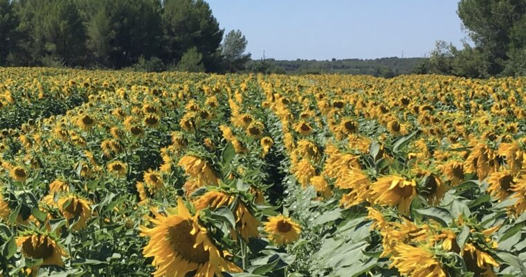 Off the beaten track – cycling in France.