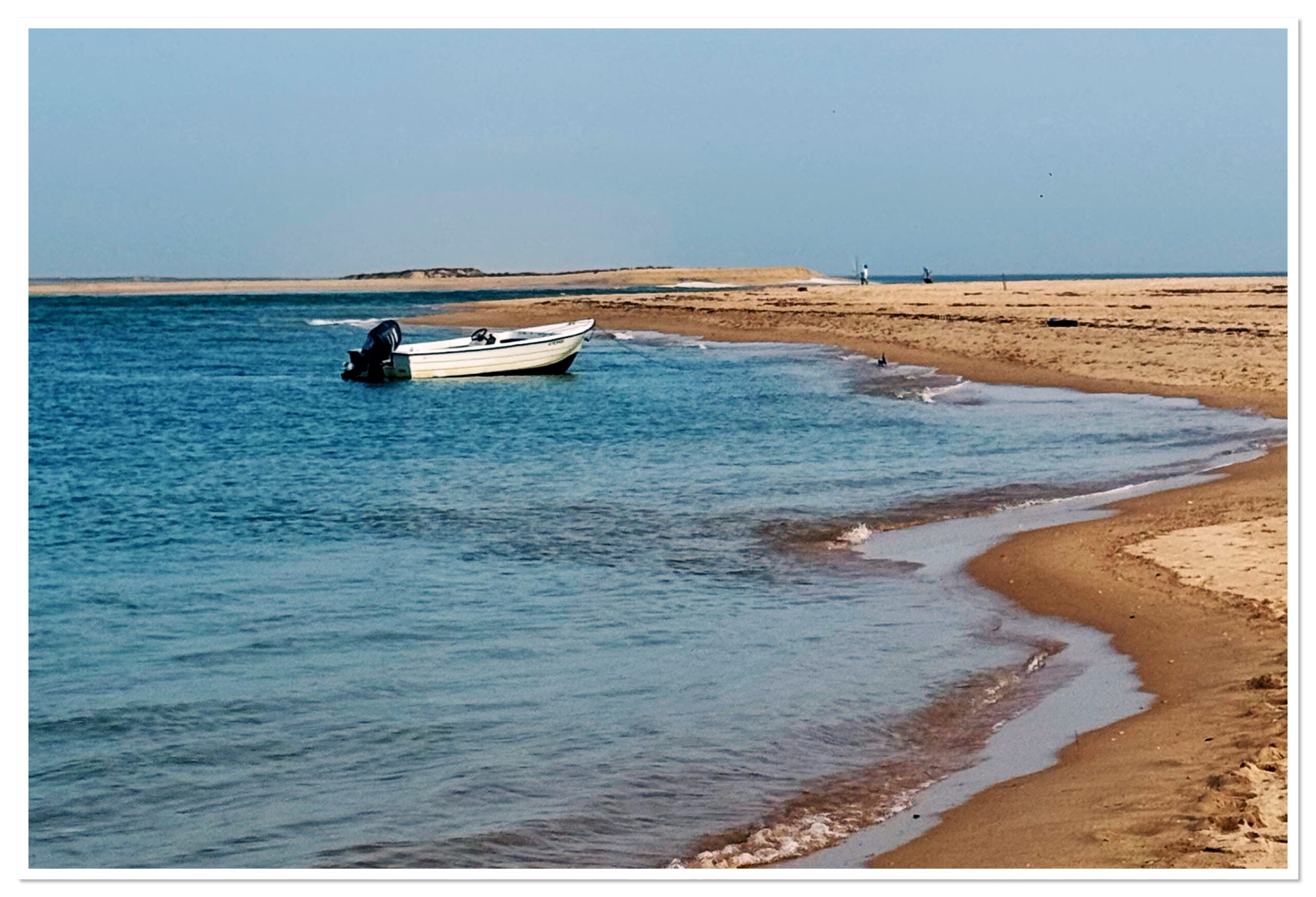 A return to Farol, Culatra and Faro (Oct 24)