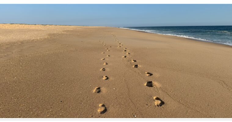 Portugal March 2026 – Sunshine and Solitude.