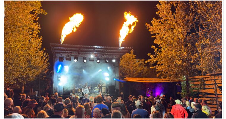 BREDY FARM FESTIVAL